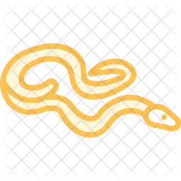 Red tailed boa  Icon