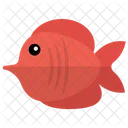 Red Tang Tang Fish Fish Icon