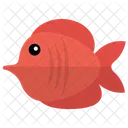 Red Tang Tang Fish Fish Icon