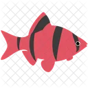 Red Tiger Barb Glofish Sea Creature Animal Icon