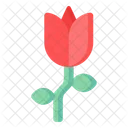 Red Tulip  Icon
