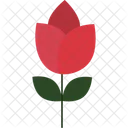 Red Tulip Flower Bold Bloom Vibrant Tulip Icon