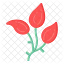 Red Tulips  Icon