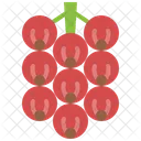 Redcurrant Berry Fruit Icon