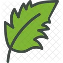 Redhaw Wathorn Hawthorn Leaf Icon