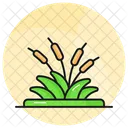 Reed Grass Botany Icon