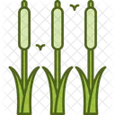 Reeds Plant Green Icon