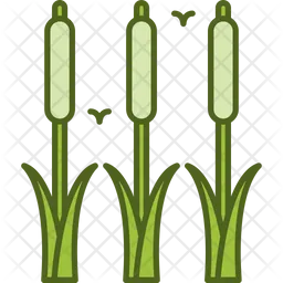 Reeds  Icon