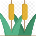 Reeds  Icon