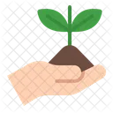 Reflorestamento Ícone