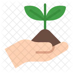 Reforestation  Icon