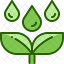 Planta de rega  Icon