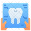 Registro Dental Informe Datos Icono