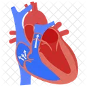 Regurgitation De La Valve Tricuspide Cardiologie Maladie Cardiaque Icône