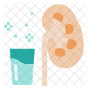 Rein Renal Nephron Icône