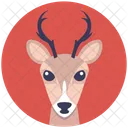 Reindeer Head Face Icon