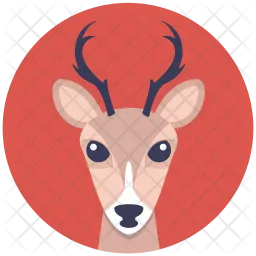 Reindeer  Icon