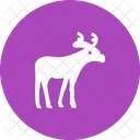 Reindeer Moose Icon