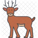 Reindeer  Icon