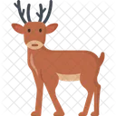 Reindeer  Icon