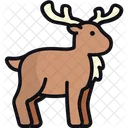 Reindeer Animal Buck Icon