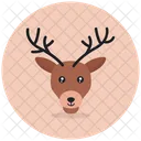 Reindeer Antlers Christmas Animal Wild Animal Icon
