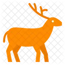 Fur Adaptable North Icon