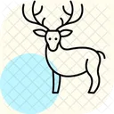Reindeer Icon