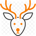 Reindeer Sleigh Winter Icon