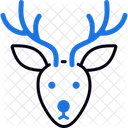 Reindeer Sleigh Winter Icon