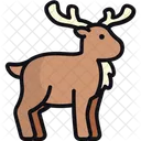 Reindeer Animal Buck Icon
