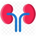 Reins Organes Anatomie Icône