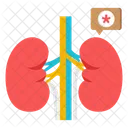 Reins Nephrons Organe Humain Icône