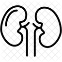 Reins Organes Sante Icône