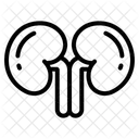  Icône