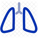 Reins Organes Sante Icône
