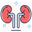 Reins Organes Renaux Sante Renale Icône