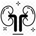 Reins Organes Renaux Sante Renale Icône