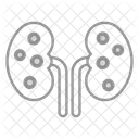 Reins Organes Anatomie Icône