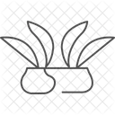 Reisfelder Reisfelder Linien Symbol