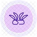 Reisfelder Reisfelder Linien Symbol