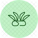 Reisfelder Reisfelder Linien Symbol