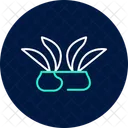Reisfelder Reisfelder Linien Symbol