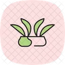 Reisfelder Reisfelder Linien Symbol