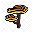 Reishi Mushroom Reishi Mushroom Icon