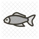 Peixe Japao Animal Icon