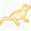 Agame Reptil Schuppig Symbol