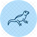 Agame Reptil Schuppig Symbol