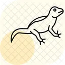 Agama Reptile Ecailleux Icône