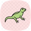Agame Reptil Schuppig Symbol
